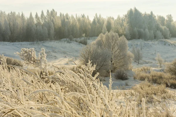 Mrazivé Zimní Ráno Městem — Stock fotografie