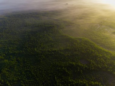 Şehir manzarasının dışında güzel bir yaz sabahı