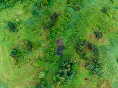 Şehir manzarasının dışında güzel bir yaz sabahı