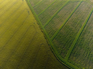 Şehir manzarasının dışında güzel bir yaz sabahı