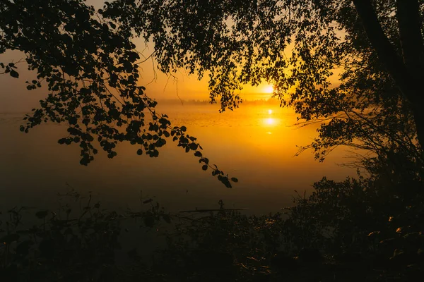 Şehir Manzarasının Dışında Güzel Bir Yaz Sabahı — Stok fotoğraf