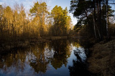 Şehir dışında harika bir gün.