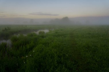 Şehrin dışında harika bir sabah