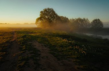 Şehir manzarasının dışında güzel bir yaz sabahı