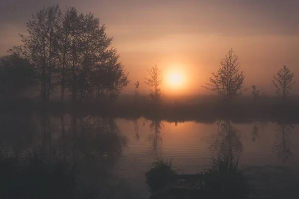 Een Heerlijke Zomerochtend Buiten Stad — Stockfoto