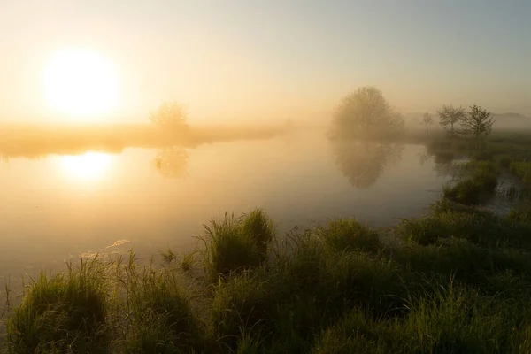 Vacker Sommar Morgon Utanför Stadens Topp Utsikt — Stockfoto