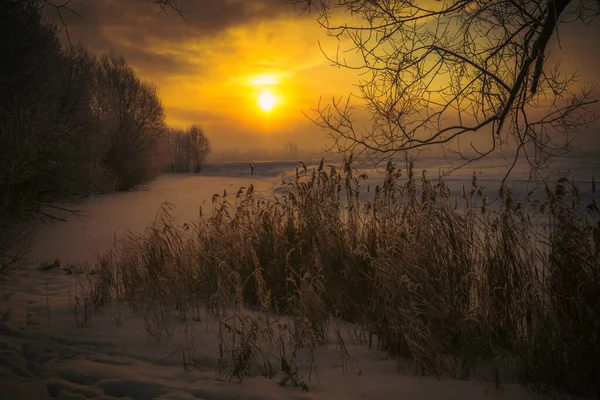 Ein Wunderbarer Wintermorgen Außerhalb Der Stadt — Stockfoto