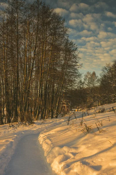 Uma Maravilhosa Manhã Inverno Fora Cidade — Fotografia de Stock