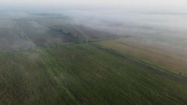 Şehir manzarasının dışında harika bir yaz sabahı
