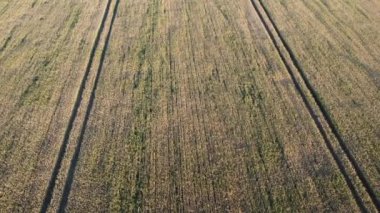 Şehir manzarasının dışında harika bir yaz sabahı