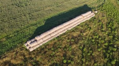 Şehir manzarasının dışında harika bir yaz sabahı