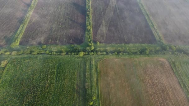 Wspaniały Letni Poranek Poza Miastem Widok Góry — Wideo stockowe