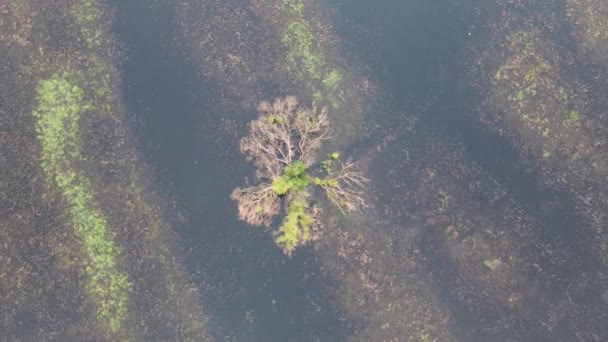 一个美丽的夏日早晨 俯瞰全城的美景 — 图库视频影像