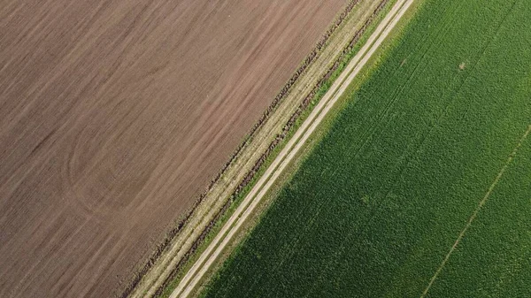 Nyári Reggel Egy Mezőgazdasági Területen Felülnézet — Stock Fotó