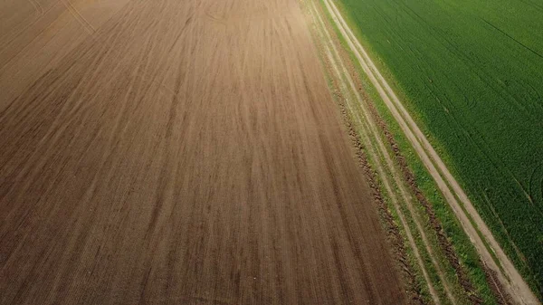 Letní Ráno Nad Zemědělským Polem Pohled Shora — Stock fotografie