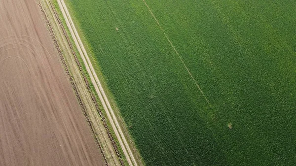 Manhã Verão Sobre Campo Agrícola Vista Superior — Fotografia de Stock