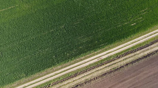 Matin Été Sur Champ Agricole Vue Dessus — Photo