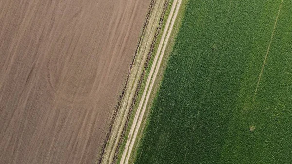 Sommar Morgon Över Ett Jordbruksfält Ovanifrån — Stockfoto