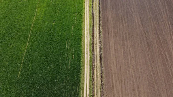 Sommar Morgon Över Ett Jordbruksfält Ovanifrån — Stockfoto