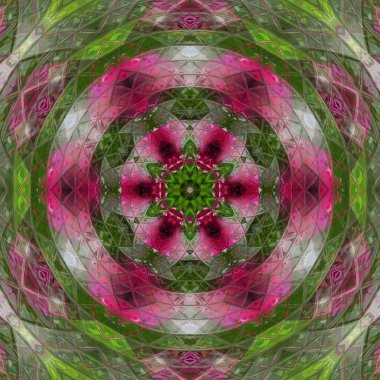 Botanik bahçesinde yaz sabahı kırmızı çiçekler