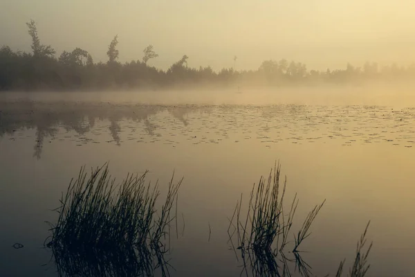 Foggy Sommar Morgon Utanför Stadens Övre — Stockfoto