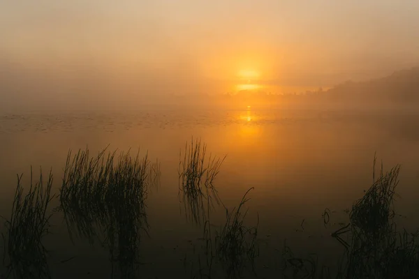 Foggy Manhã Verão Fora Vista Superior Cidade — Fotografia de Stock