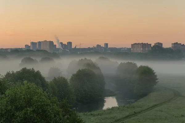 Ομίχλη Καλοκαιρινό Πρωινό Έξω Από Την Πόλη — Φωτογραφία Αρχείου