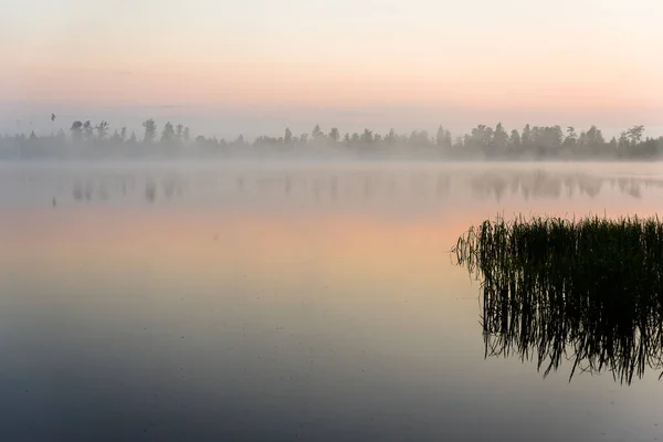 Mistige Zomerochtend Buiten Stad Top Uitzicht — Stockfoto