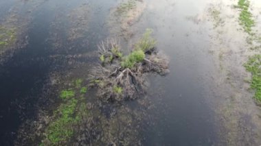 Şehir manzarası dışında güzel bir sabah