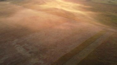 Şehir manzarası dışında güzel bir sabah