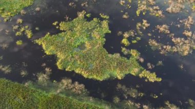 Şehir manzarasının dışında harika bir yaz sabahı