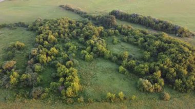 Şehir manzarasının dışında harika bir yaz sabahı
