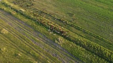 Şehir manzarasının dışında harika bir yaz sabahı