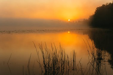 Şehrin dışında sisli bir sabah.