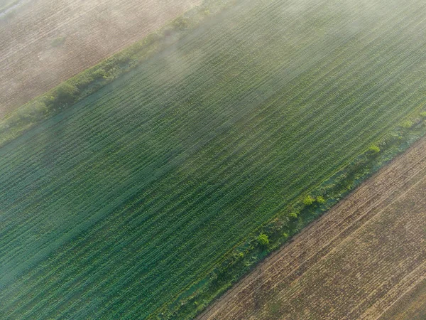 Літній Ранок Містом Вид Сергу — стокове фото