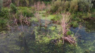 Şehir manzarasının dışında harika bir yaz sabahı