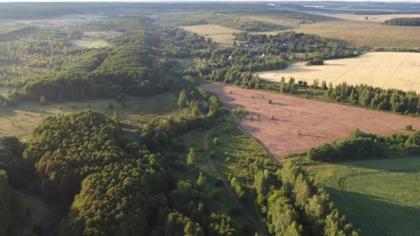 Een Heerlijke Zomerochtend Buiten Het Uitzicht Stad — Stockvideo