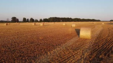 Şehir manzarasının dışında harika bir yaz sabahı