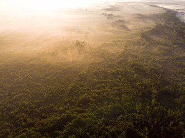 Şehir manzarasının dışında harika bir yaz sabahı
