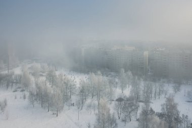 A wonderful winter day in the city park after a snowfall