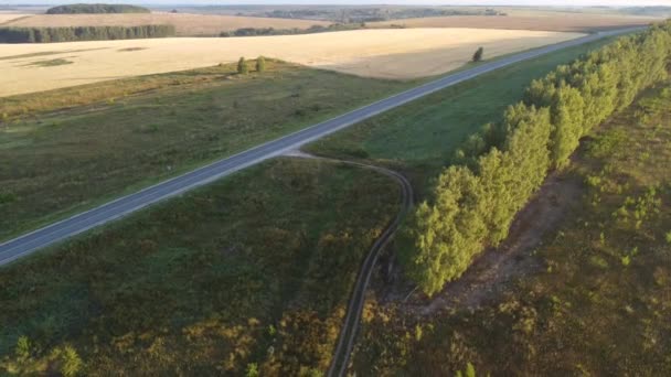 Mistige Zomerochtend Buiten Stad Top Uitzicht — Stockvideo