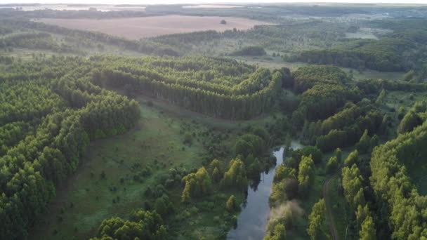 Туманное Летнее Утро Пределами Города — стоковое видео