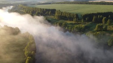 Şehir manzarasının dışında sisli bir şafak