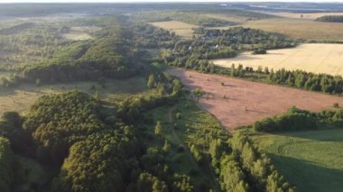 Şehir manzarasının dışında sisli bir şafak