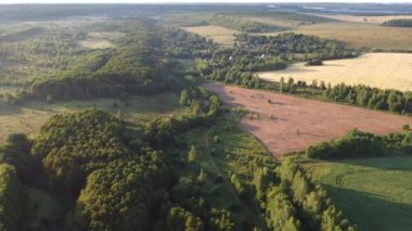 Şehir dışında sisli bir yaz sabahı.