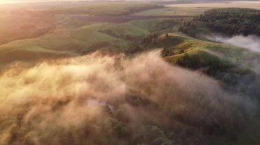 Şehir dışında sisli bir yaz sabahı.