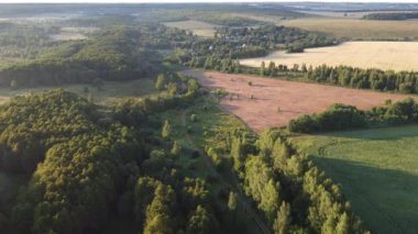 Şehir dışında sisli bir yaz sabahı.