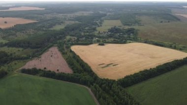 Şehir dışında sisli bir yaz sabahı.
