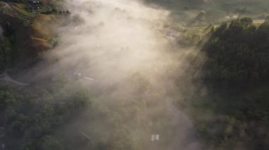 Şehir dışında sisli bir yaz sabahı.