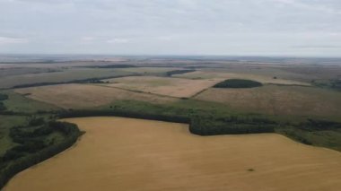 Şehir dışında sisli bir yaz sabahı.